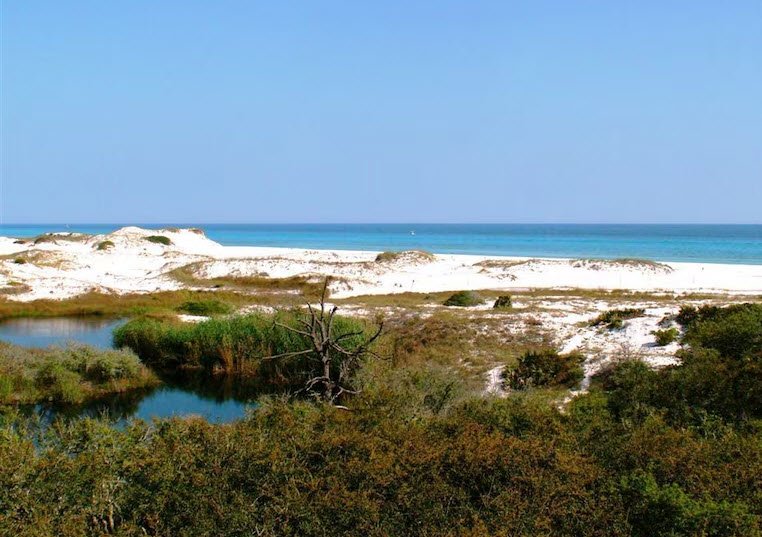 Grayton Beach State Park, Florida, USA